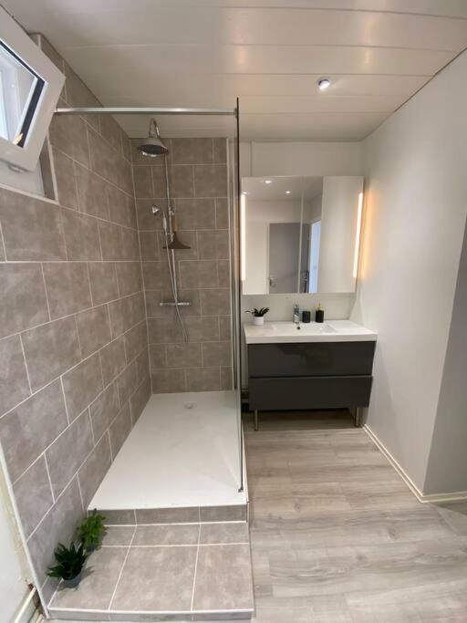 Appartement Calme Et Chaleureux Dole Dış mekan fotoğraf